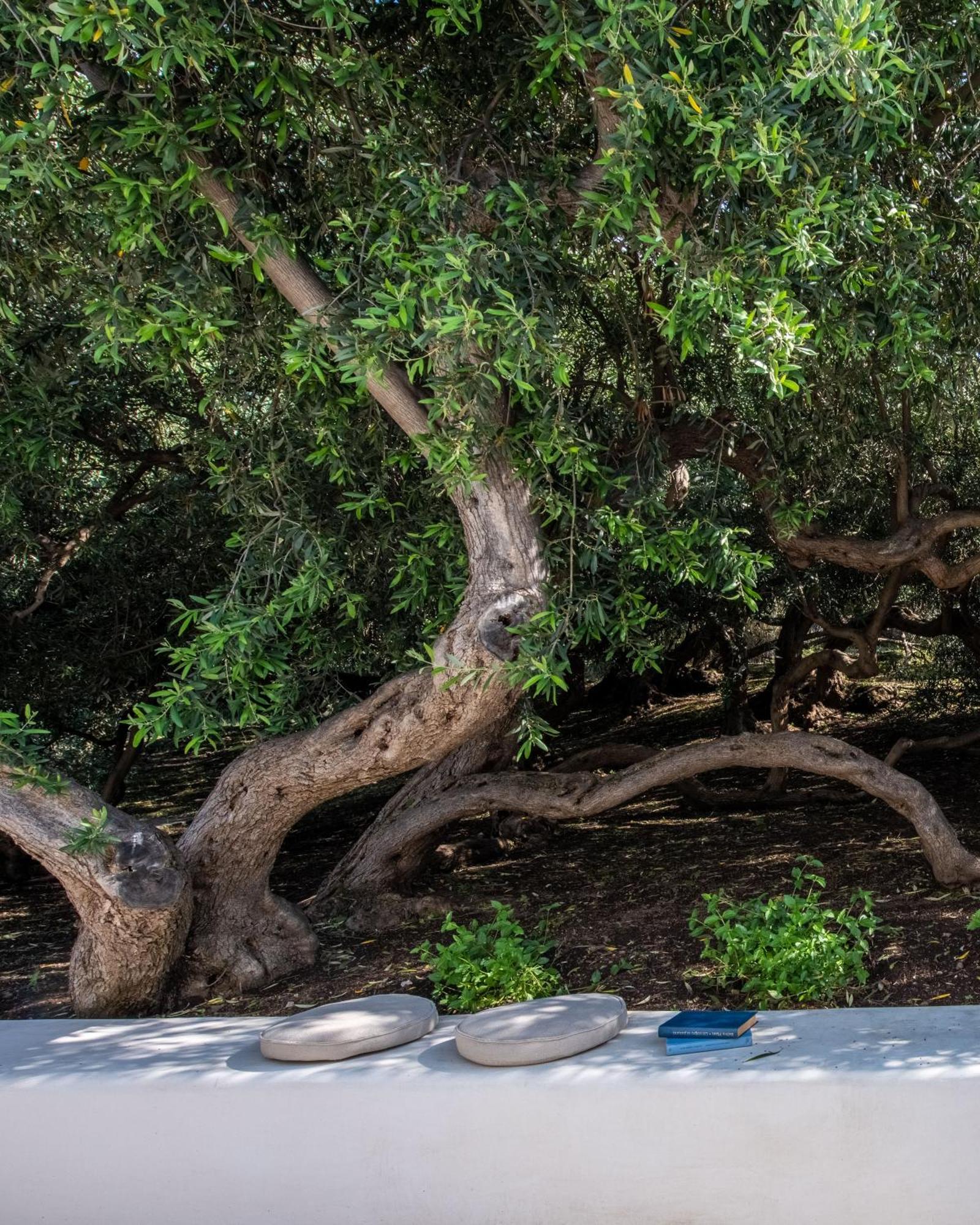 Vico San Lorenzo - Camere A Salina มาลฟา ภายนอก รูปภาพ